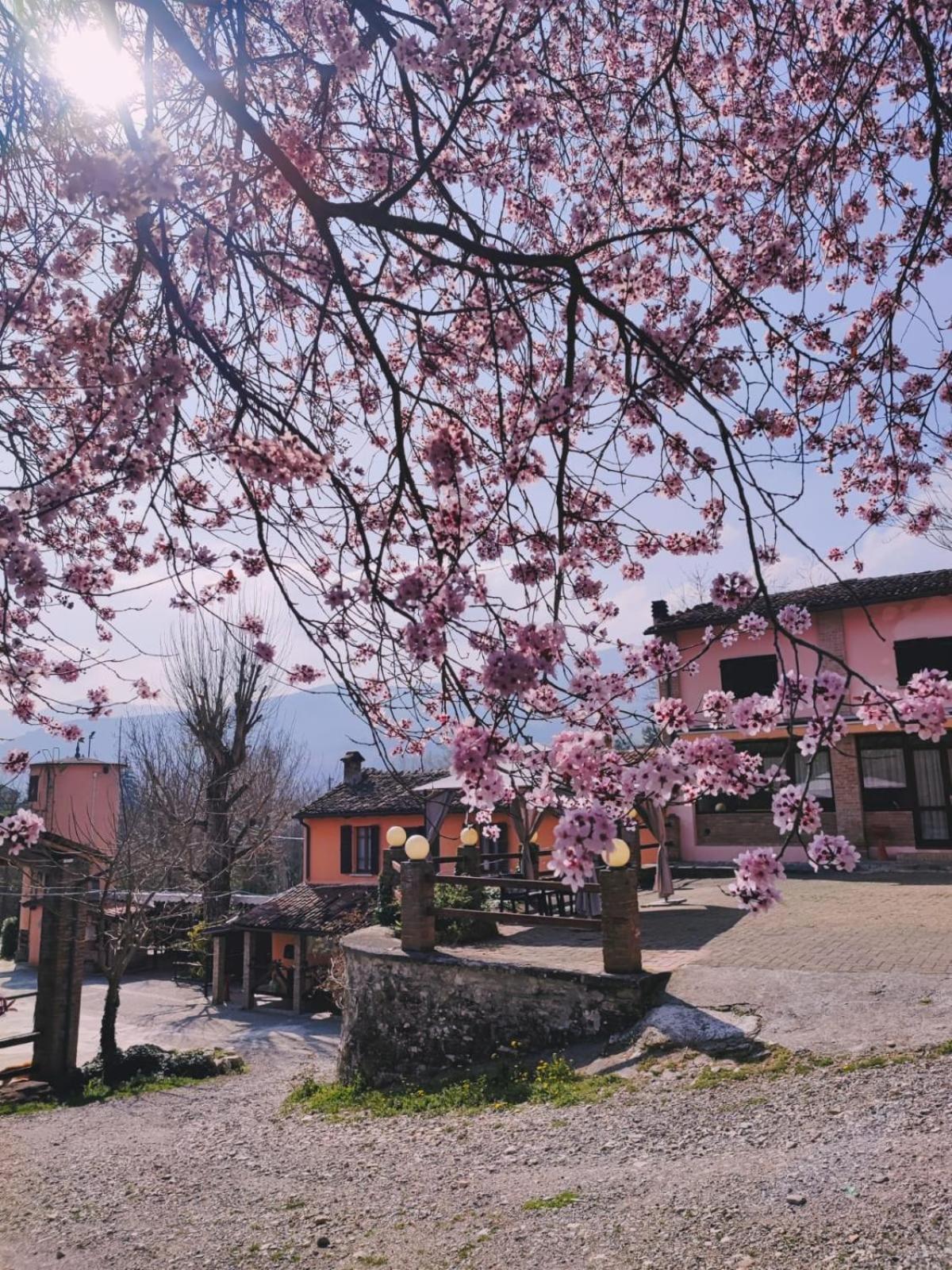 Agriturismo Villa Enrichetta Bettola  Exterior foto